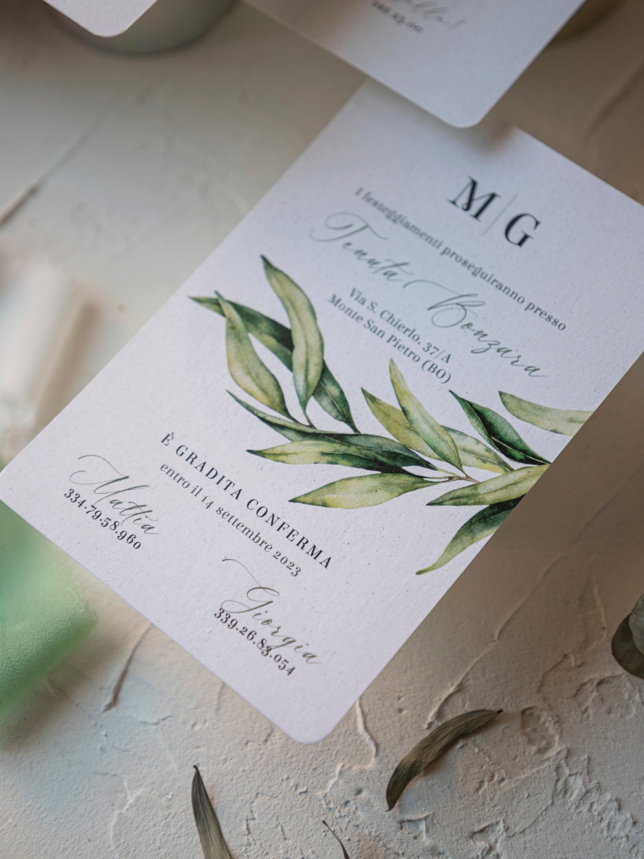 Greenery | Green Sage